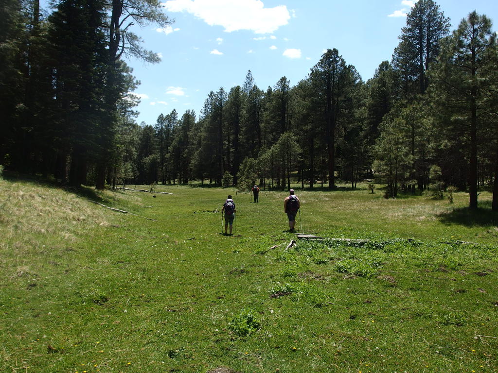Blog | Group Backpacking on the Cabin Loop