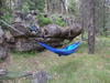 Perfect hammock site at Barbershop Springs