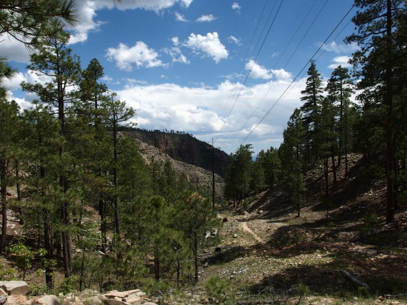 Back at the Colonel Devin trail