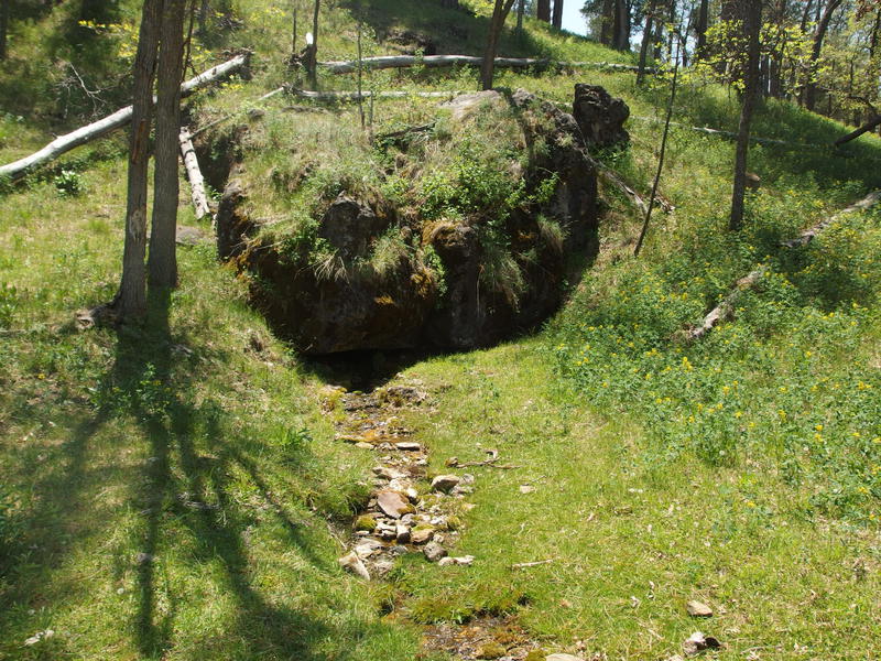 Cool water trickling from the hill at Aspen Spring