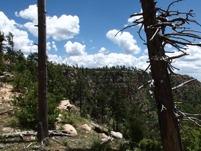 Looking east along the rim