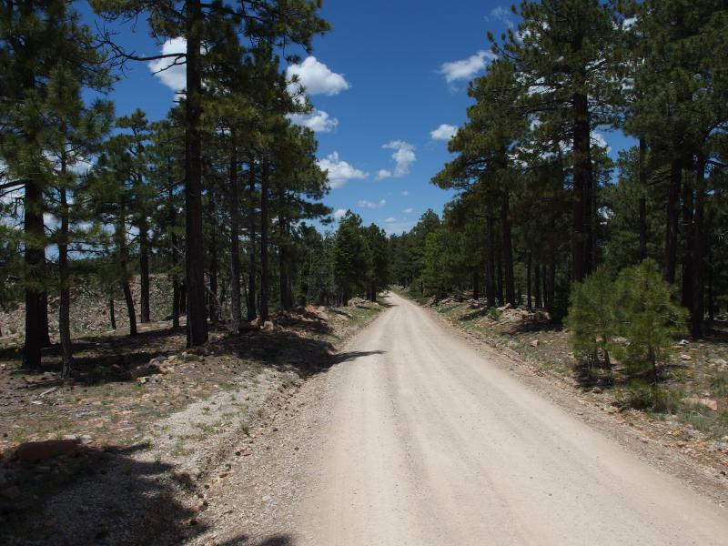 On the dusty Rim Road