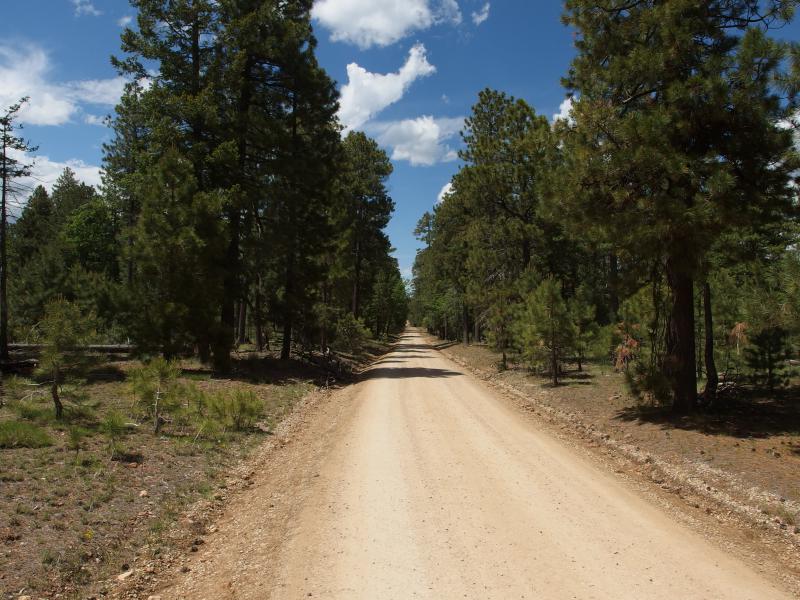 Straight section of road to walk