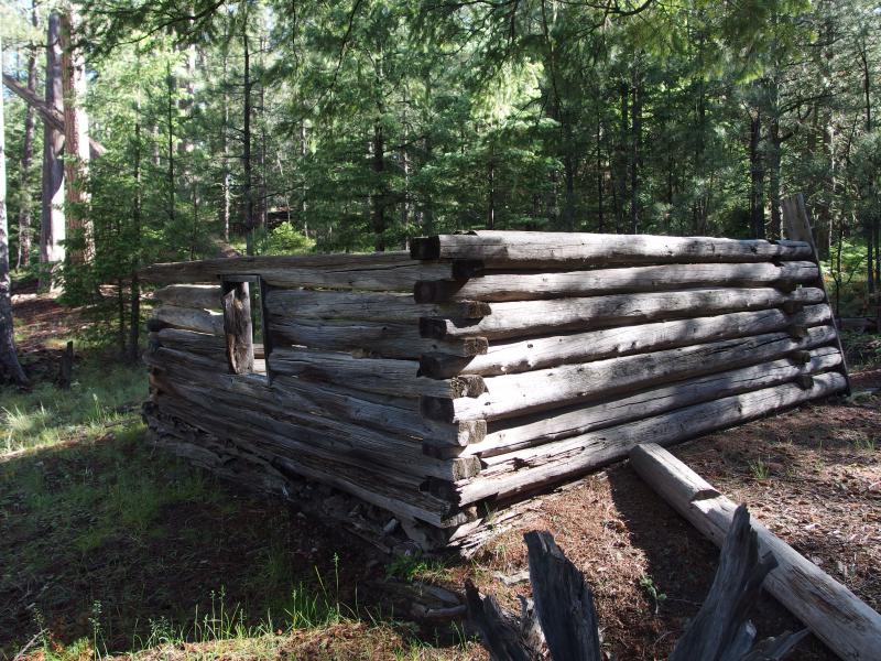 Some cabin remains at Dane Springs