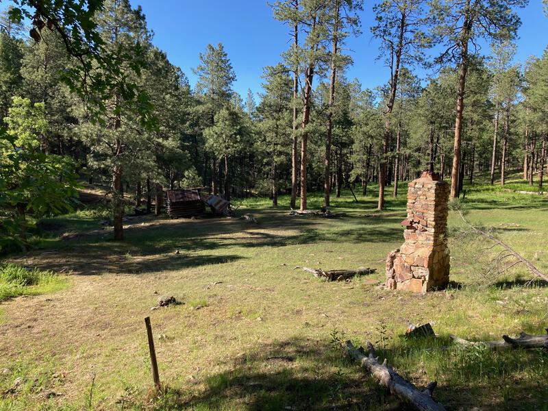 Clearing at Aspen Cabin