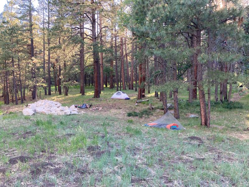 Simple camp near Aspen Springs