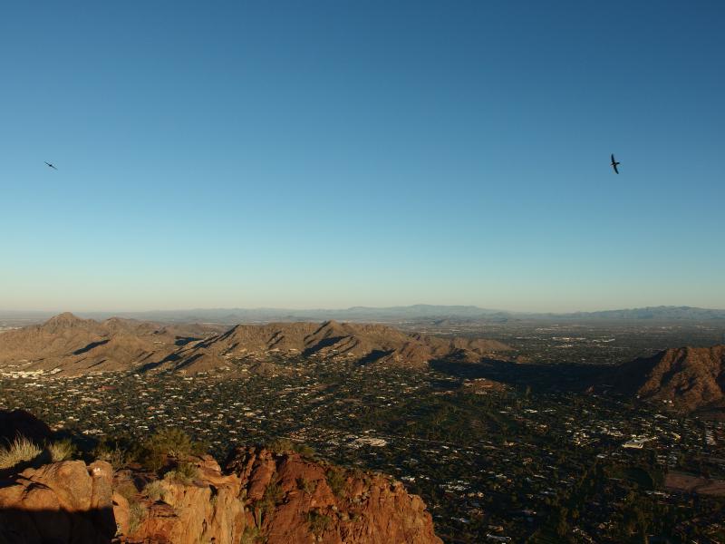 Swallows and the Phoenix Mountain Preserve beyond