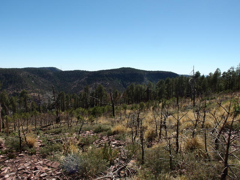 A burned clearing on top of the mountain