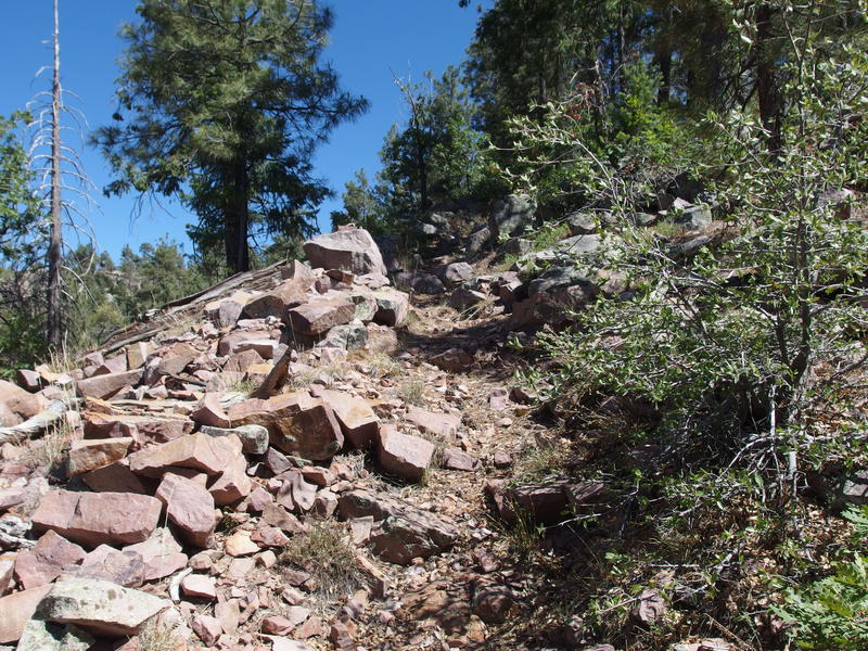 Steep going on Center Mountain Trail