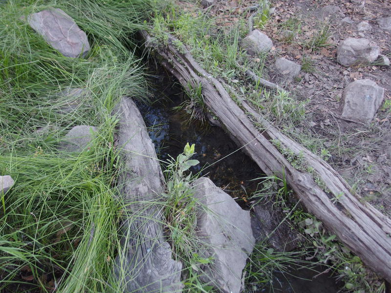 Small, clear source at Edward Spring