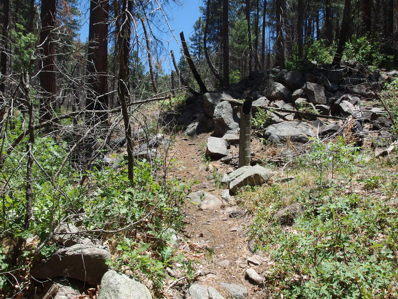 Partial damage at the end of Reynolds Creek