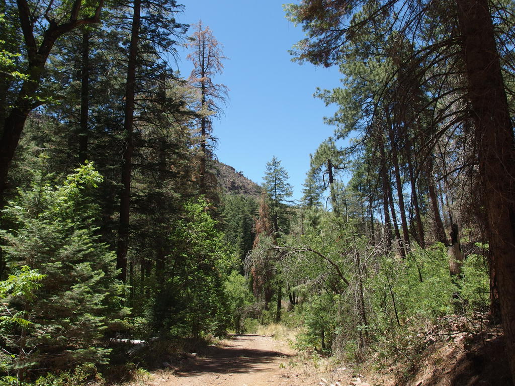 Blog | Center Mountain to Pueblo Canyon Overlook