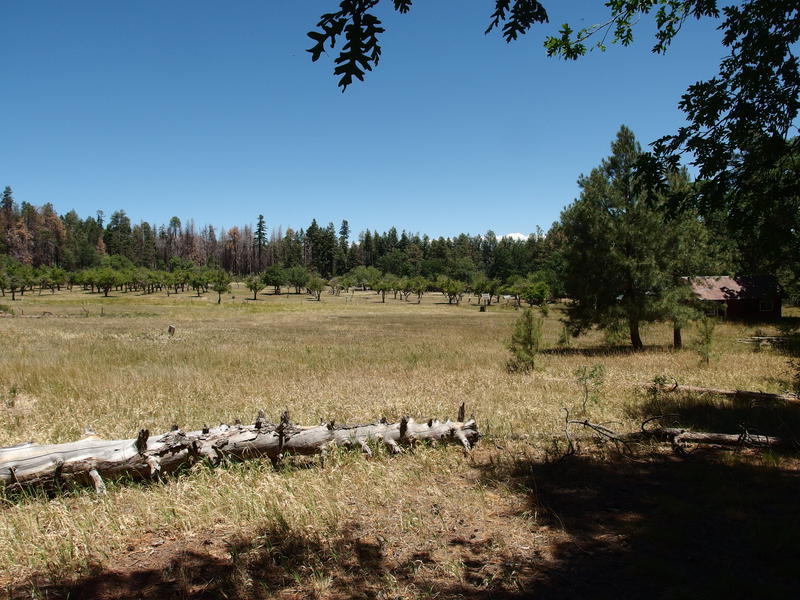 View of the old Murphy Ranch