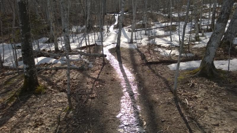 Bright line of ice on the trail