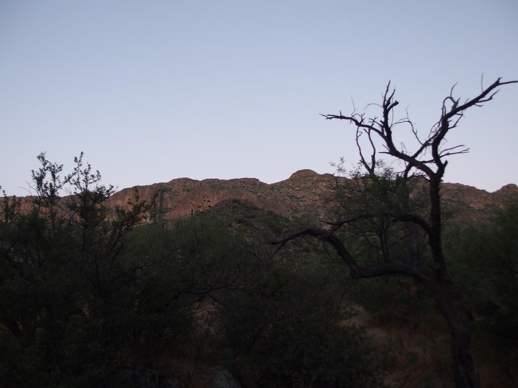 Blog | Lower Red Tanks Trail