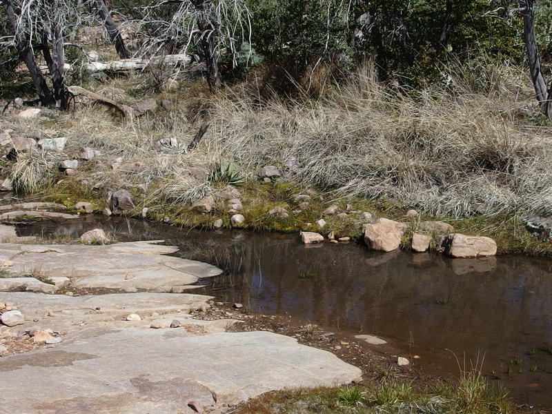 Shallow pools of water at the seep