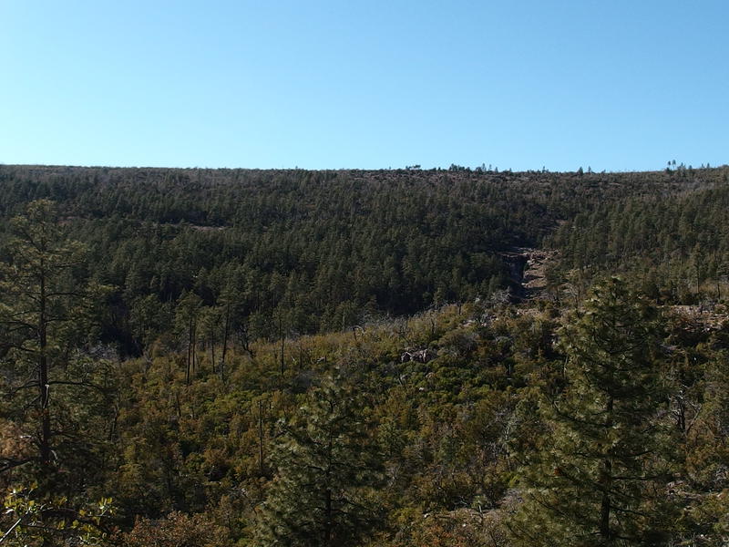 Sheltered pine forest and ridge blocking the Park