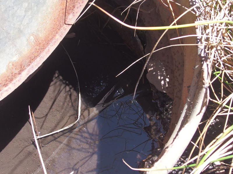 Silty basin at Chilton Spring