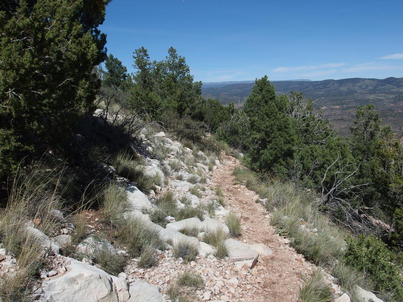 Burst of white rocks along the trail