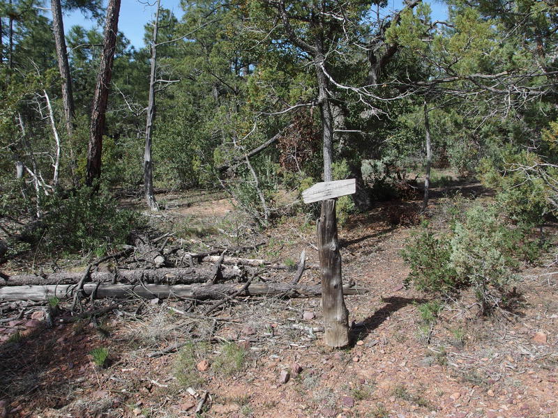 Lonely trail sign at the Mazatzal Divide junction