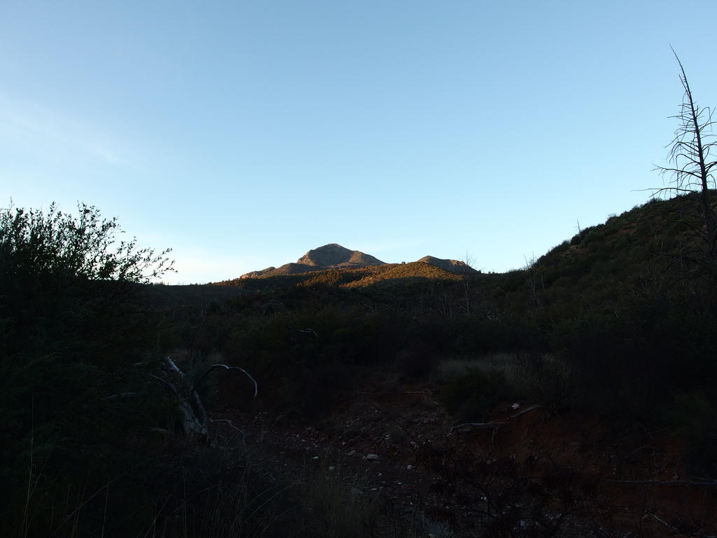 Blog | North Peak Trail and the End of the Mazatzal Divide