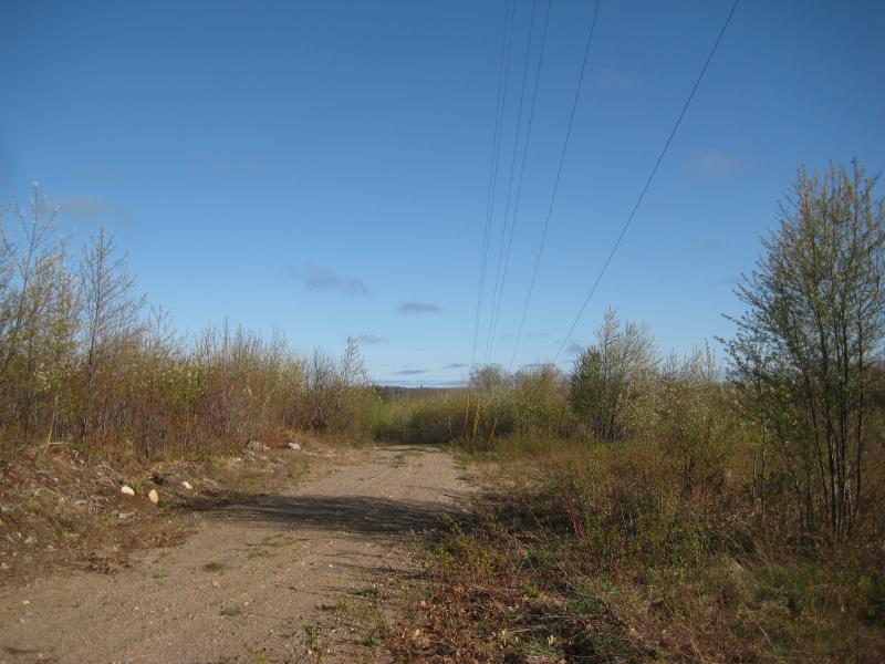 Dusty two-track and radio wires