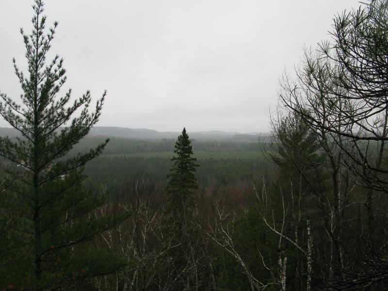 Foggy view of eastern Clark Creek