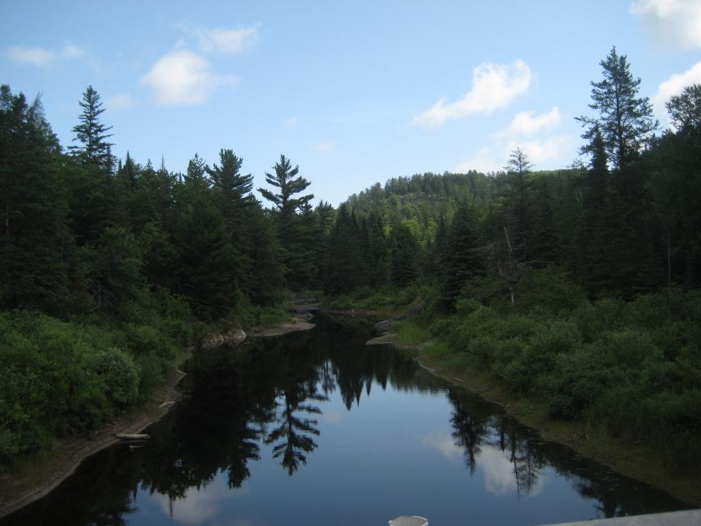 Blog | Clark Creek and Island Lake