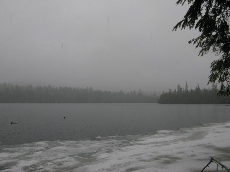 Snowstorm over Cliff Lake