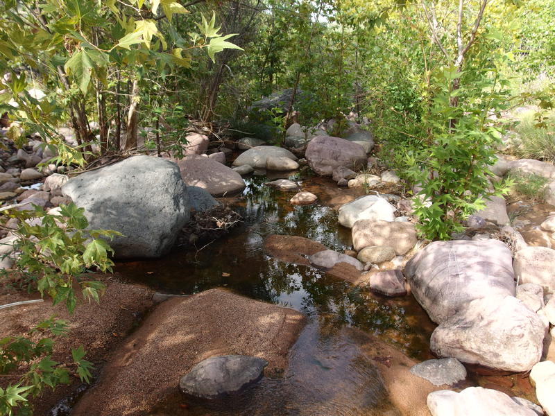 A most pleasant section of Deadman Creek
