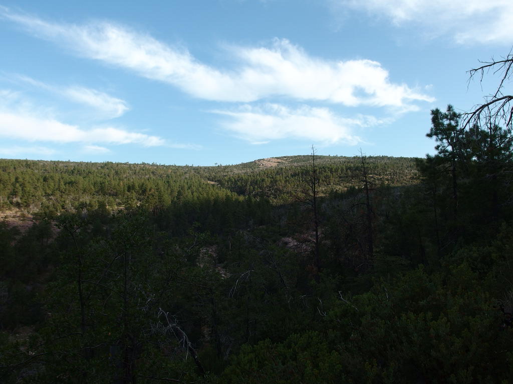 Blog | Across the Mazatzals: Willow Springs Bushwhack