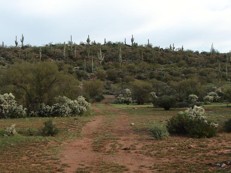 Flat stretch of land near Davenport before the ridge