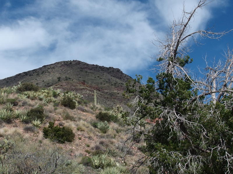 A long ways up to Table Mountain