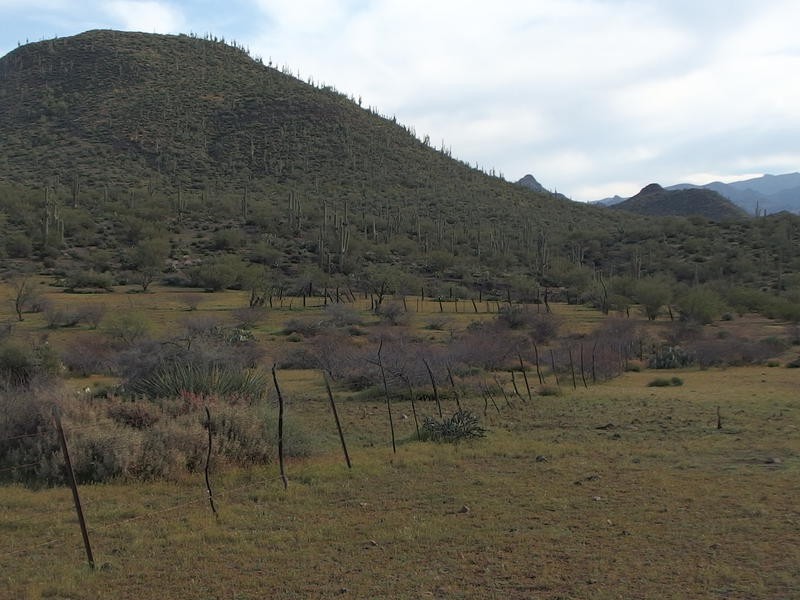 An old corral on the flat green