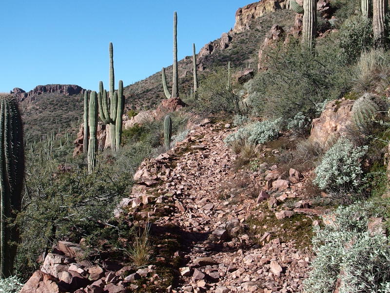 Well-made side trail along the bank