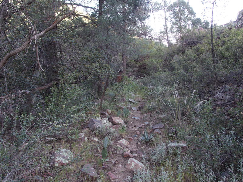 Rocky trail along the creek