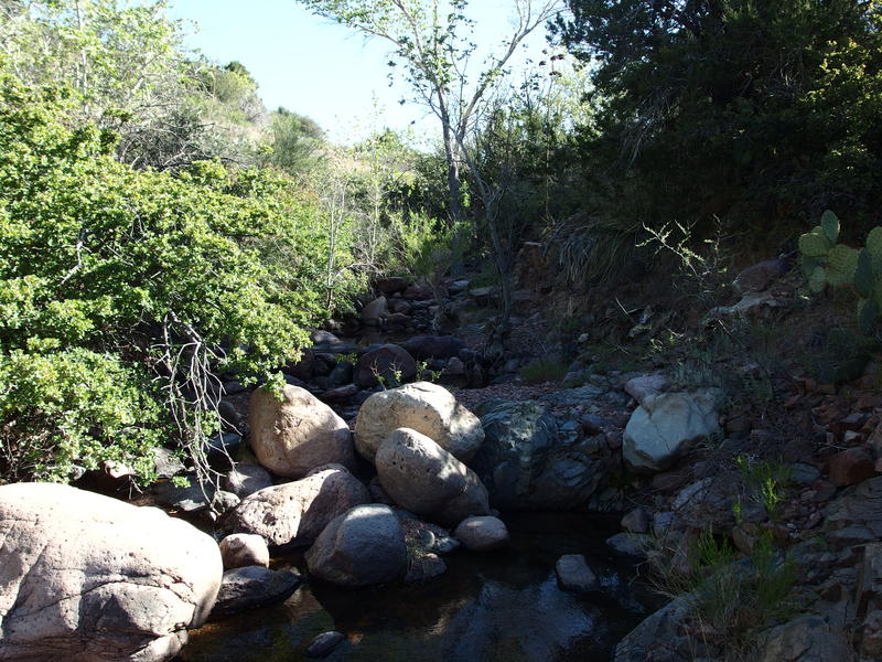 Breakfast break spot on Sheep Creek