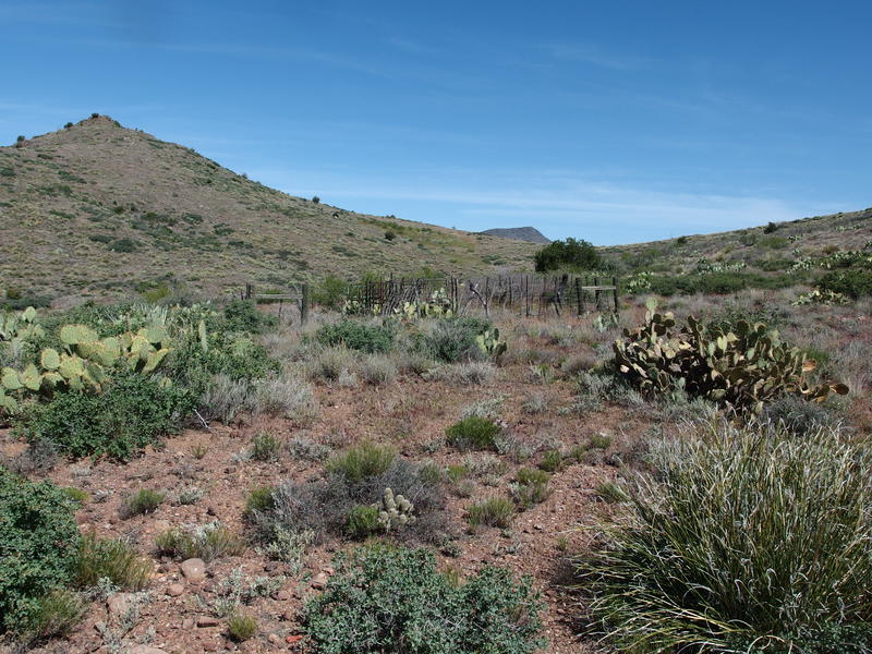 Corral near Sears Trail junction