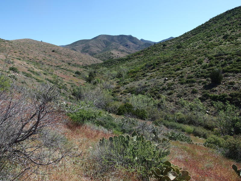 Looking down on Sheep Creek cabin remains