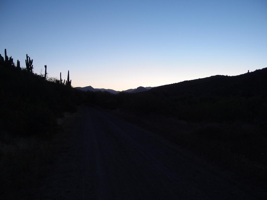Blog | Copper Camp Loop: Road to Copper Camp Creek