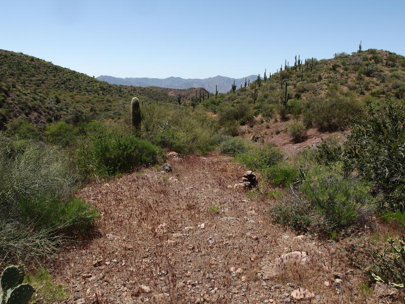 Easy, well-marked section of trail