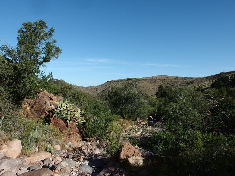 Entering the grassy hills of the Western Mazatzals