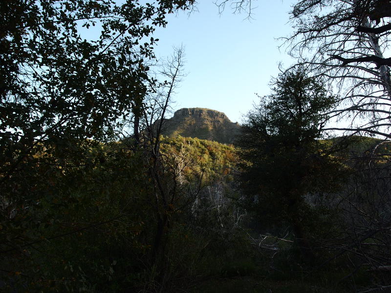 Evening view of Saddle Mountain
