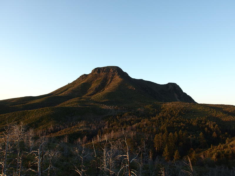 Morning light on Saddle Mountain