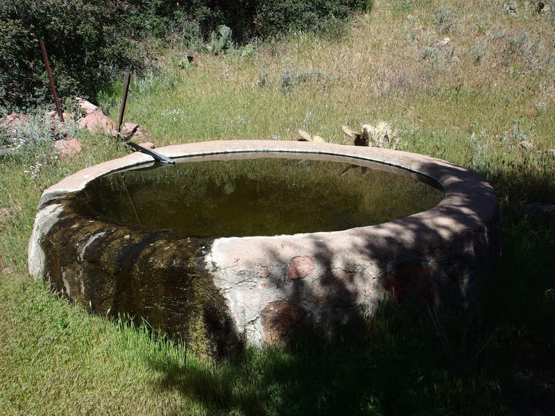 Overflowing trough at Round Spring