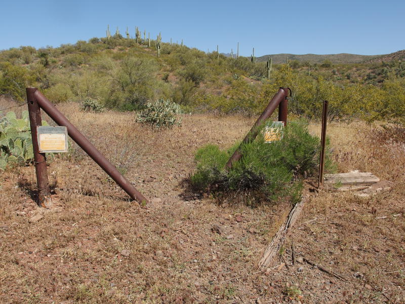 Wilderness boundary fence along Sears Trail