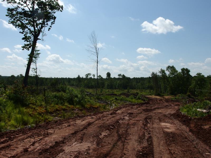 Sticky clay mud track