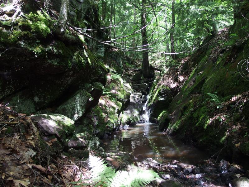 Small upper falls in the little canyon