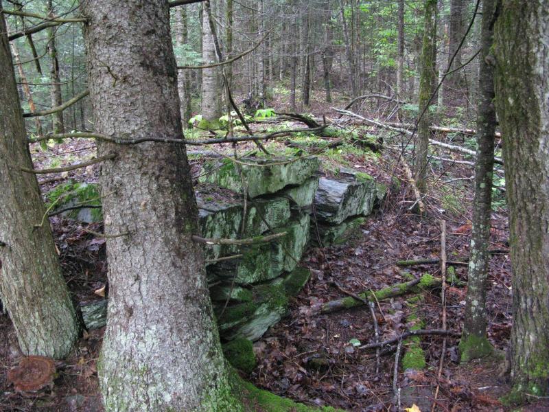 Old foundation from the abandoned bridg