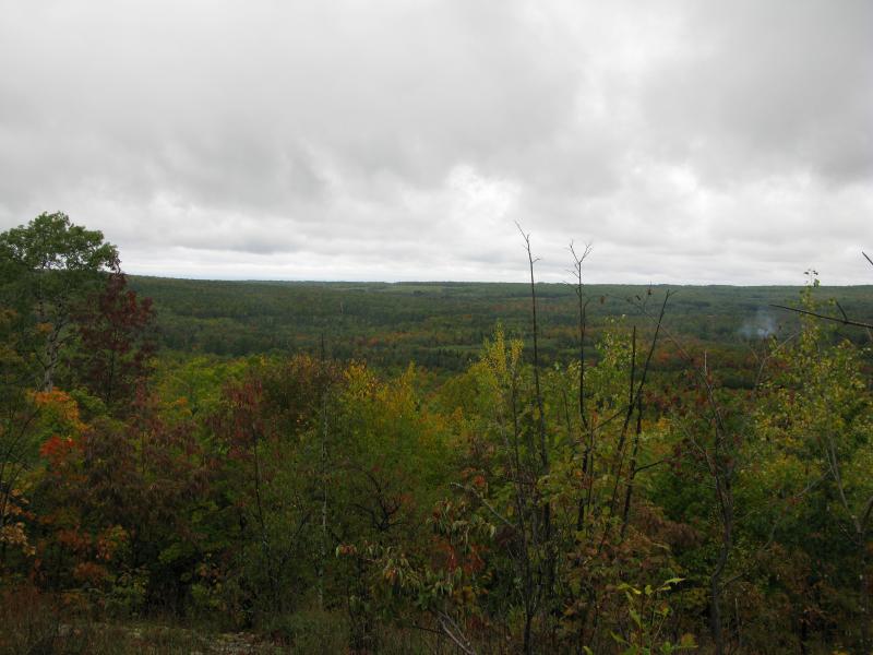 Farms and woods on Point Abbaye